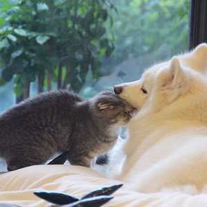 噼哩啪哩国语电影大全在线观看
