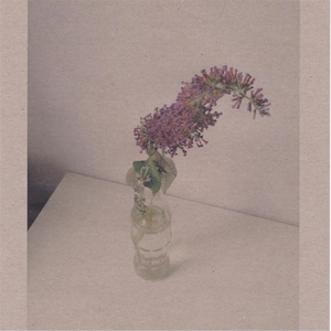 噼哩啪哩国语电影大全在线观看
